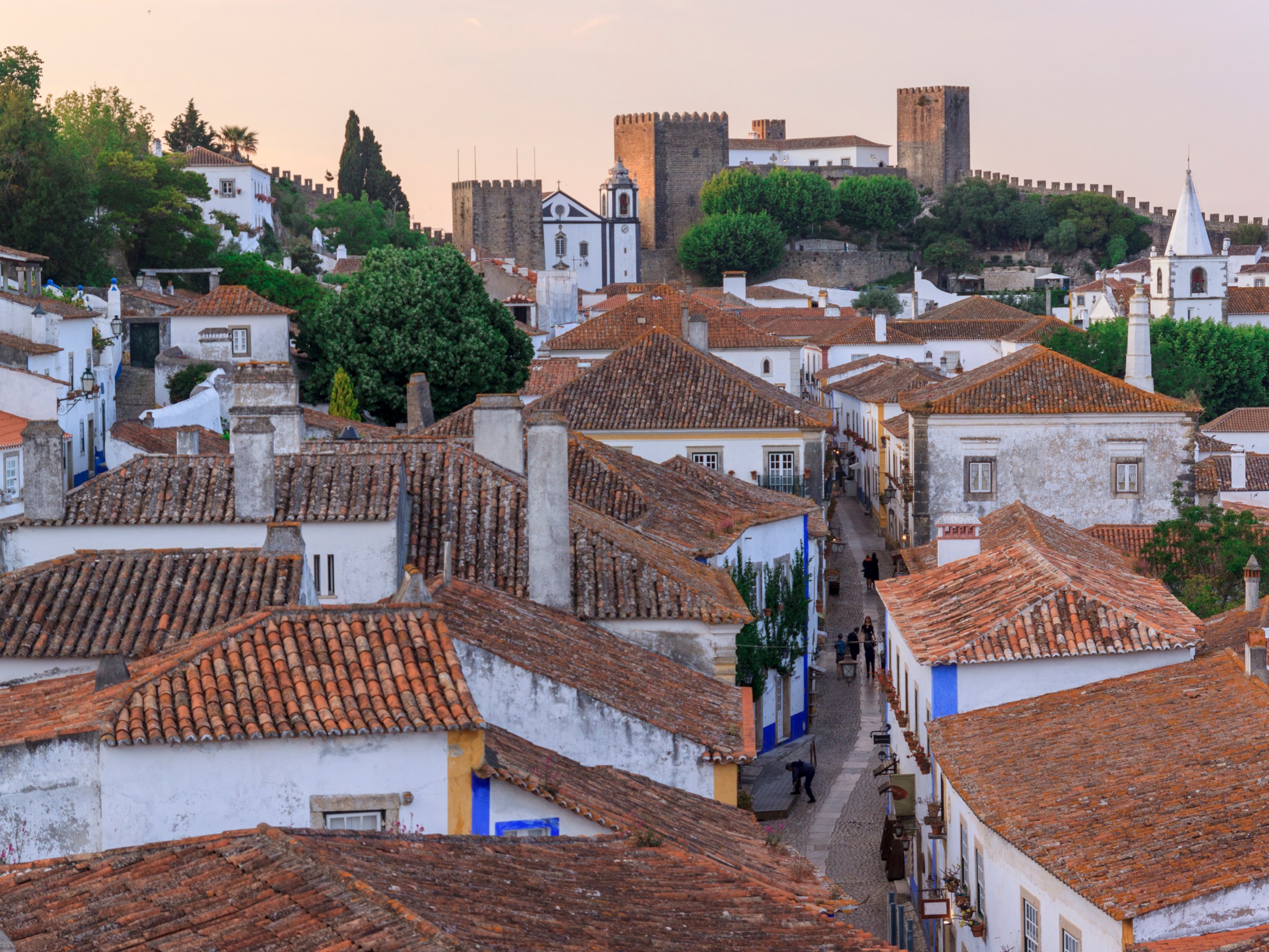 Medieval townscape with tile-roof houses and a castle in the background at sunset.